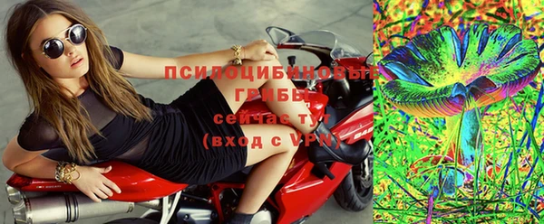 PSILOCYBIN Киреевск