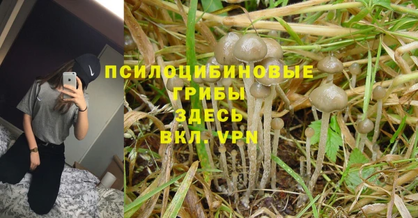 мяу мяу кристалл Алексеевка
