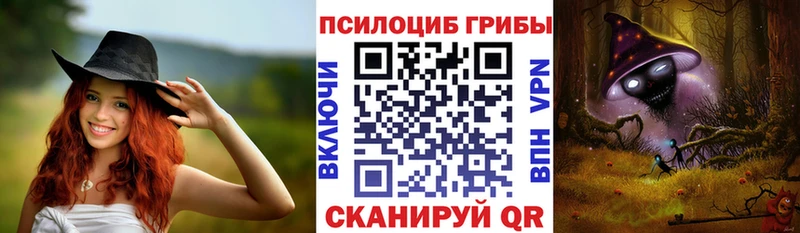 Галлюциногенные грибы Psilocybe  Княгинино 